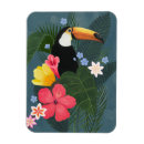 Search for toucans magnets Jungle