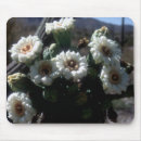 Search for cactus mousepads Blossom
