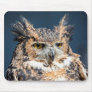 Search for horned owl mousepads Raptor