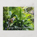 Search for spider postcards Monkey