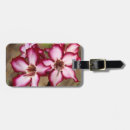 Search for daytime accessories Colour image
