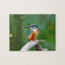 Search for kingfisher puzzles Bird