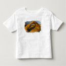 Search for lonely mountain tshirts Travel