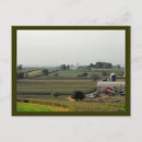 Search for grasshoppers postcards Fields