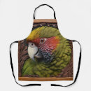 Search for harmony aprons Rainbow