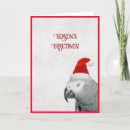Search for african grey parrot christmas cards Cute