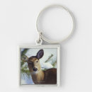 Search for white tail key rings Wildlife