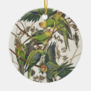 Search for parakeet christmas tree decorations Illustration