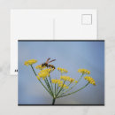 Search for pollinators postcards Pollinating