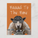 Search for two sheep postcards Animals