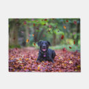 Search for labrador doormats Puppy