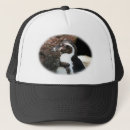 Search for wild bird hats Black