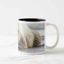 Search for mud mugs Outdoor