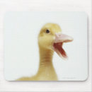 Search for opened mousepads Animals