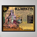 Search for sea monkey Comic