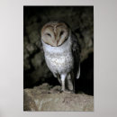 Search for galapagos posters Islands