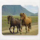 Search for iceland electronics Horse