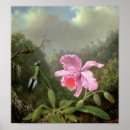 Search for martin johnson heade posters Artistic