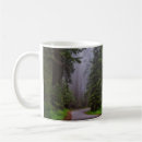 Search for redwoods Souvenir