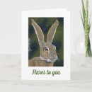 Search for alert cards Animal