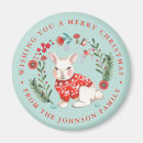 Search for rabbit magnets Blue