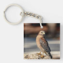 Search for red hawk key rings Wildlife