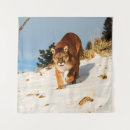 Search for puma top art Wild