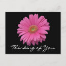 Search for thinking of you postcards Flowers