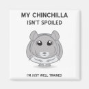 Search for spoiled magnets Cute
