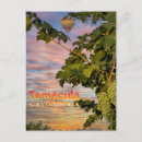 Search for grapevine postcards Wine