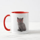 Search for animals with glasses mugs Kitten