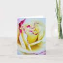 Search for rose blooms cards Yellow