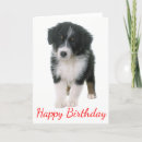 Search for australian shepherd birthday cards Puppy