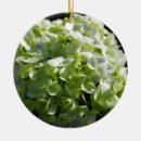 Search for hydrangea christmas tree decorations Nature