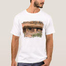 Search for dwellings clothing Western