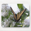 Search for yellow tiger electronics Butterfly