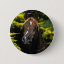 Search for stallion badges Bob langrish