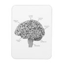 Search for neuroscience gifts Psychology