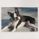 Search for boston terrier puzzles Cute