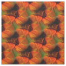 Search for swirl pattern fabric Colourful