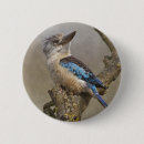 Search for kookaburra badges Laughing