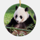 Search for panda bear christmas tree decorations china