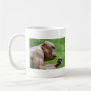 Search for closed mugs Close up