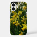Search for yellow daffodil iphone cases Narcissus