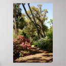 Search for garden posters Tropical