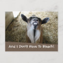 Search for funny dentist postcards Smile