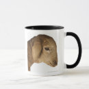 Search for domestic mugs Animal