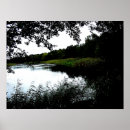 Search for reed posters Photography