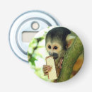Search for squirrel monkey Primate