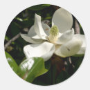 Search for flower bed stickers Garden